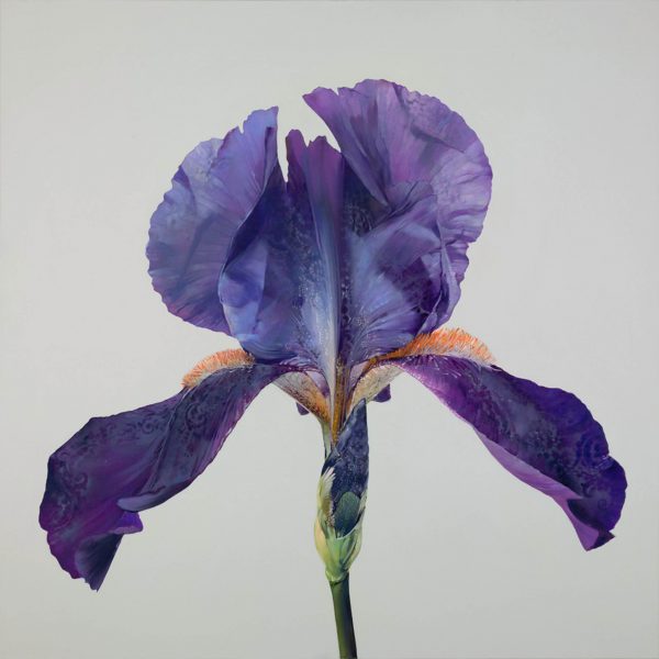 Carmelo Blandino - Intuition