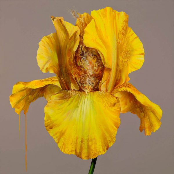 Carmelo Blandino - Songs of Innocence