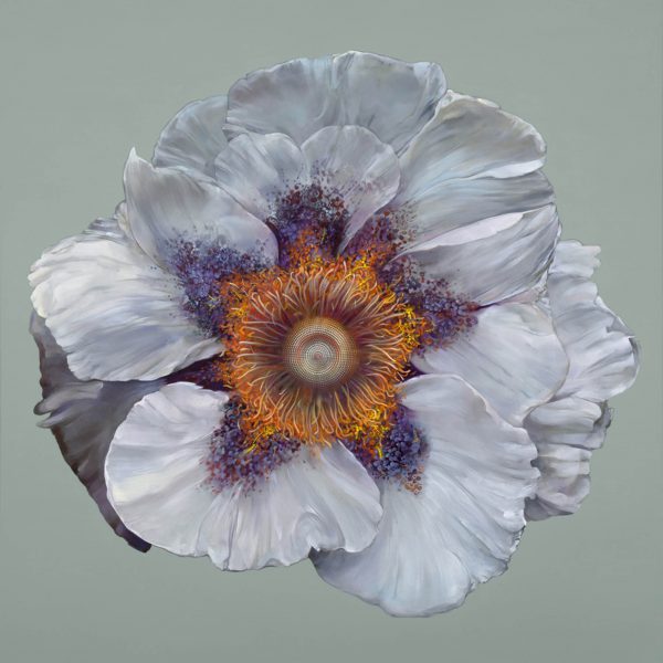 Carmelo Blandino - The Knowing