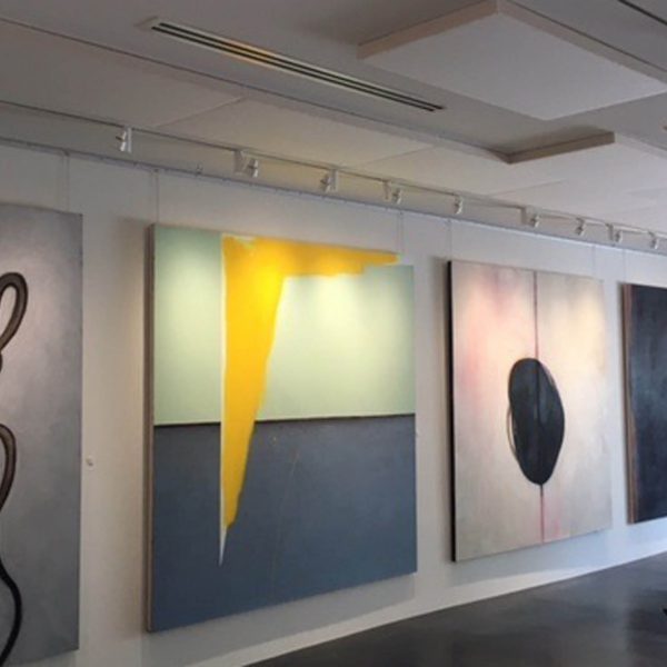 Dana Roes - Gallery Install