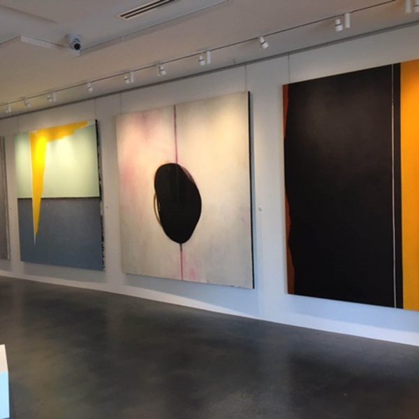 Dana Roes - Instal Gallery