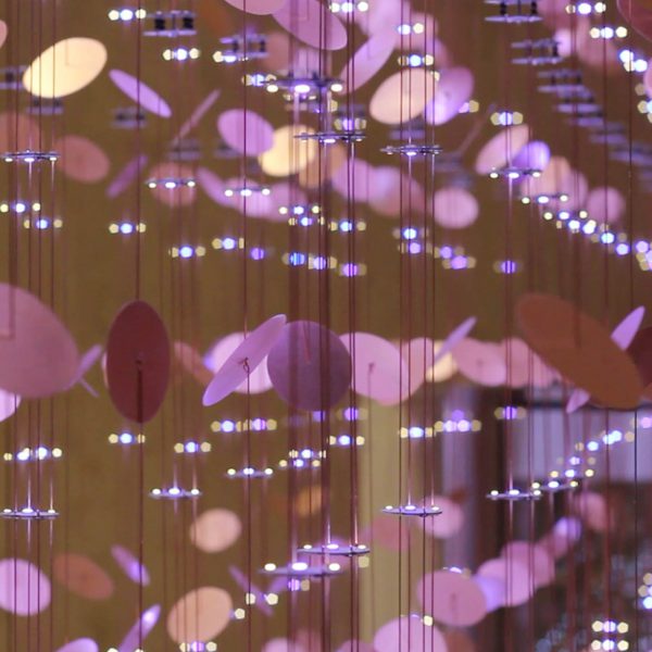 Jason Krugman - Custom Commission Reef.png