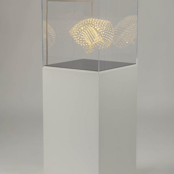 Jason Krugman - White Basket