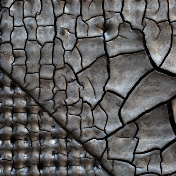 Scott Daniel Detail of Ceramic Tile Texture